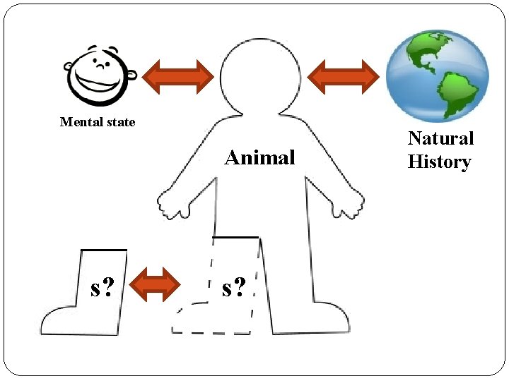 Mental state Animal s? Natural History 