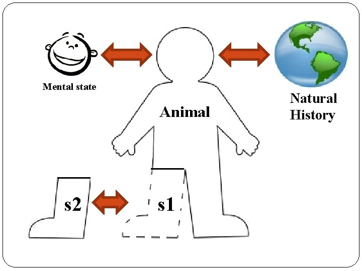 Mental state Animal s 2 s 1 Natural History 