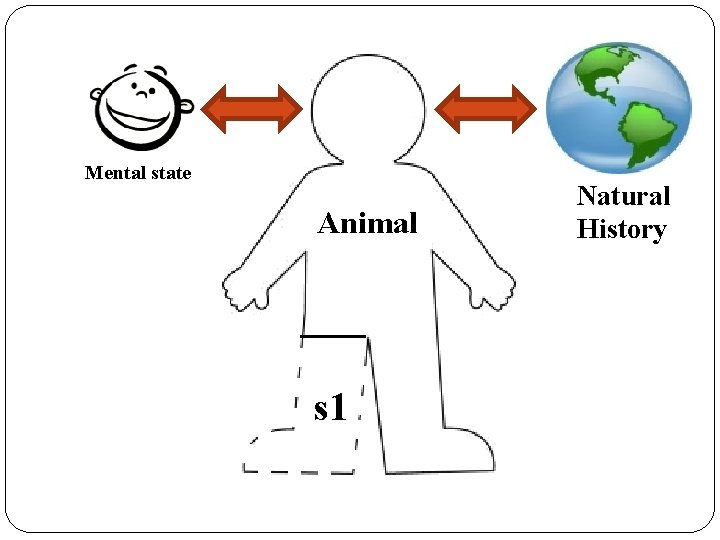 Mental state Animal s 1 Natural History 