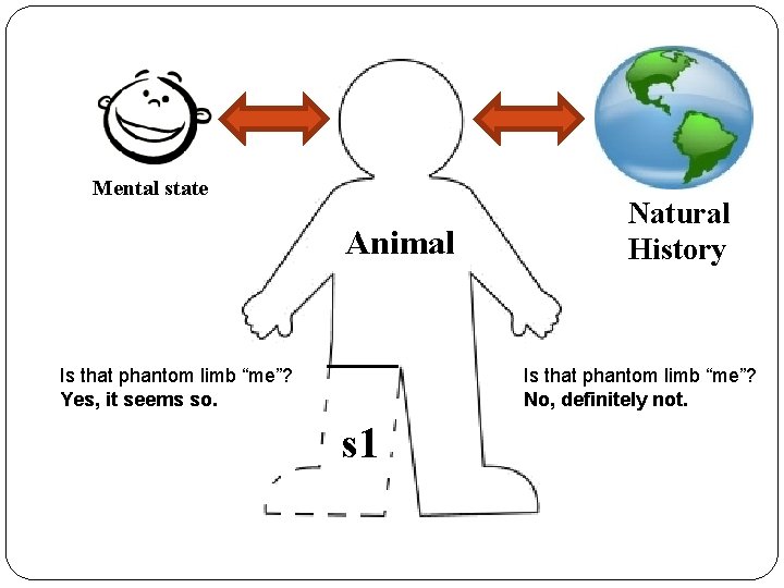 Mental state Animal Is that phantom limb “me”? Yes, it seems so. Natural History