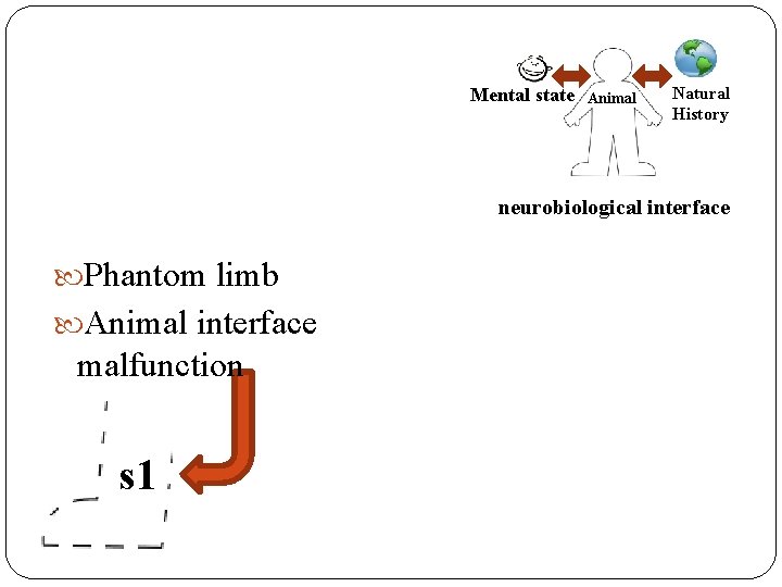 Mental state t 1 Animal Natural History s 1 neurobiological interface Phantom limb Animal