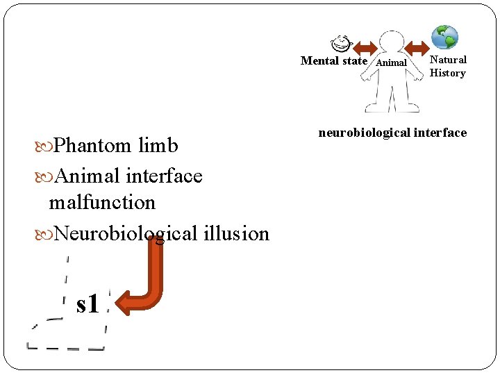Mental state t 1 Animal Natural History s 1 Phantom limb Animal interface malfunction