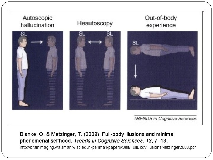 Blanke, O. & Metzinger, T. (2009). Full-body illusions and minimal phenomenal selfhood. Trends in
