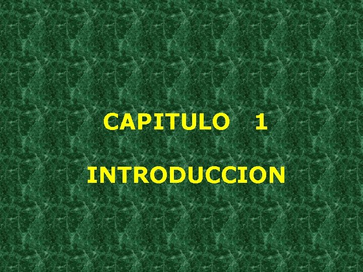 CAPITULO 1 INTRODUCCION 