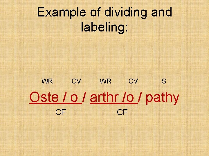 Example of dividing and labeling: WR CV S Oste / o / arthr /o Example of dividing and labeling: WR CV S Oste / o / arthr /o