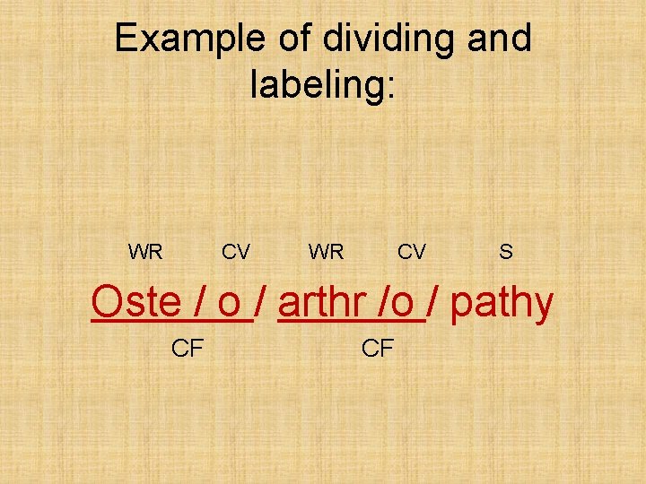 Example of dividing and labeling: WR CV S Oste / o / arthr /o