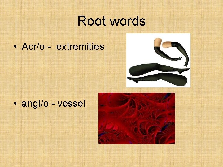 Root words • Acr/o - extremities • angi/o - vessel Root words • Acr/o - extremities • angi/o - vessel