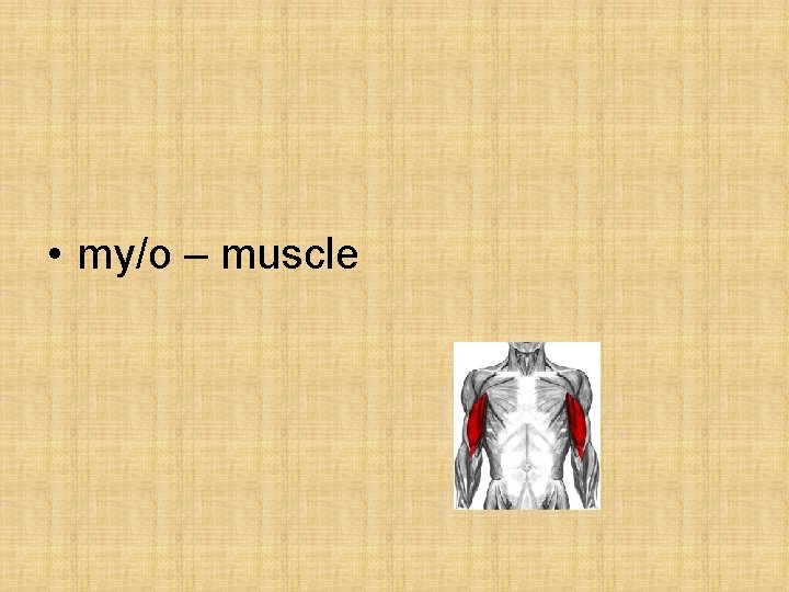 • my/o – muscle • my/o – muscle