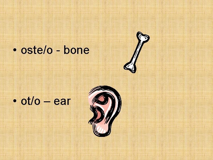  • oste/o - bone • ot/o – ear 