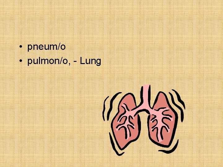 • pneum/o • pulmon/o, - Lung • pneum/o • pulmon/o, - Lung