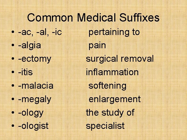 Common Medical Suffixes • • -ac, -al, -ic -algia -ectomy -itis -malacia -megaly -ologist Common Medical Suffixes • • -ac, -al, -ic -algia -ectomy -itis -malacia -megaly -ologist