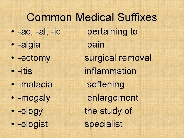 Common Medical Suffixes • • -ac, -al, -ic -algia -ectomy -itis -malacia -megaly -ologist