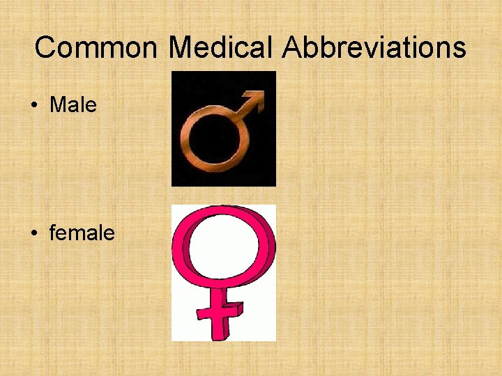 Common Medical Abbreviations • Male • female 