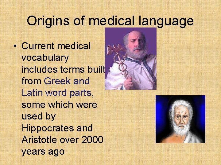 Origins of medical language • Current medical vocabulary includes terms built from Greek and