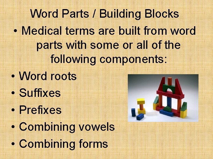 Word Parts / Building Blocks • Medical terms are built from word parts with