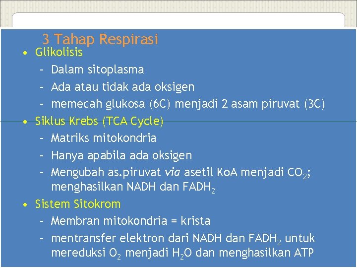 3 Tahap Respirasi • Glikolisis – Dalam sitoplasma – Ada atau tidak ada oksigen