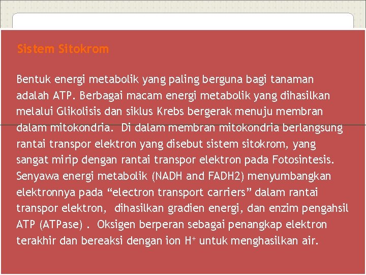 Sistem Sitokrom Bentuk energi metabolik yang paling berguna bagi tanaman adalah ATP. Berbagai macam