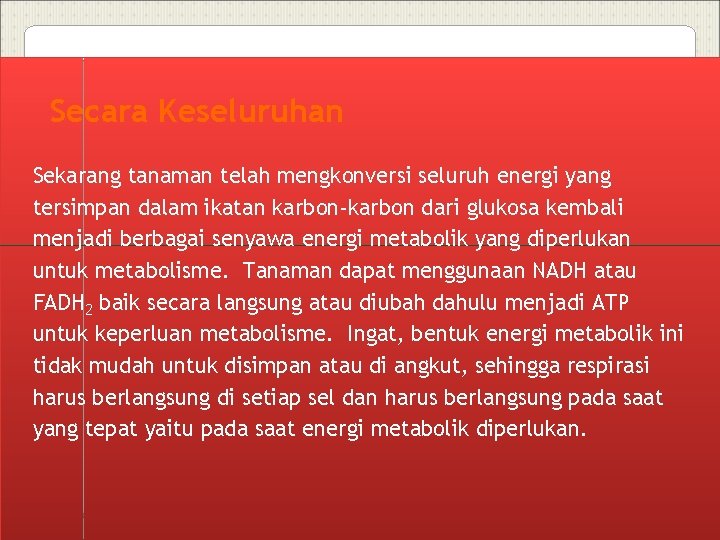 Secara Keseluruhan Sekarang tanaman telah mengkonversi seluruh energi yang tersimpan dalam ikatan karbon-karbon dari