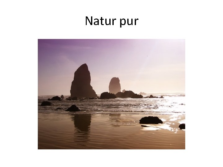 Natur pur 