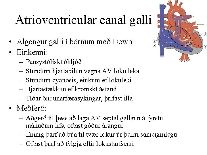 Atrioventricular canal galli • Algengur galli í börnum með Down • Einkenni: – –