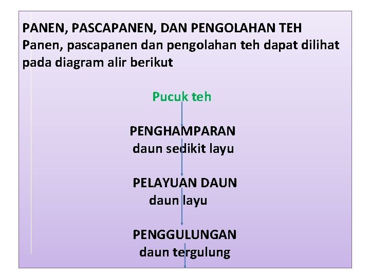 PANEN, PASCAPANEN, DAN PENGOLAHAN TEH Panen, pascapanen dan pengolahan teh dapat dilihat pada diagram