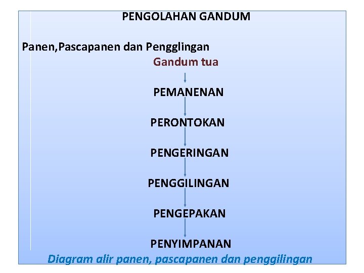  PENGOLAHAN GANDUM Panen, Pascapanen dan Pengglingan Gandum tua PEMANENAN PERONTOKAN PENGERINGAN PENGGILINGAN PENGEPAKAN