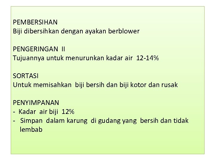 PEMBERSIHAN Biji dibersihkan dengan ayakan berblower PENGERINGAN II Tujuannya untuk menurunkan kadar air 12