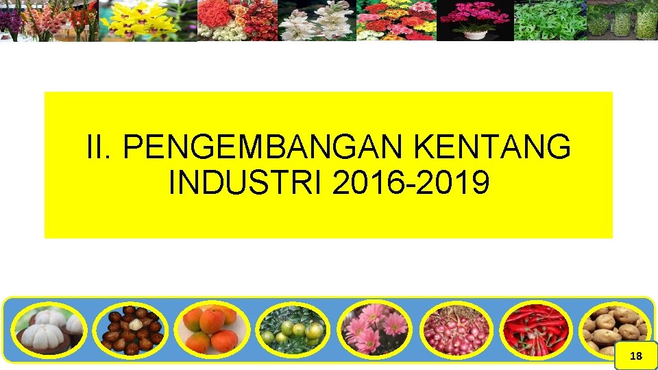 II. PENGEMBANGAN KENTANG INDUSTRI 2016 -2019 18 