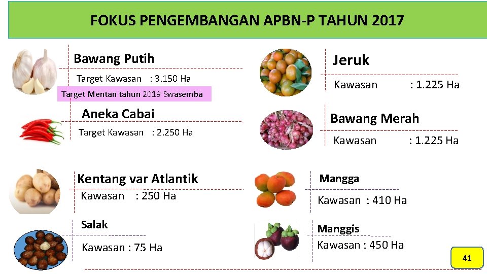 FOKUS PENGEMBANGAN APBN-P TAHUN 2017 Bawang Putih Jeruk Target Kawasan : 3. 150 Ha