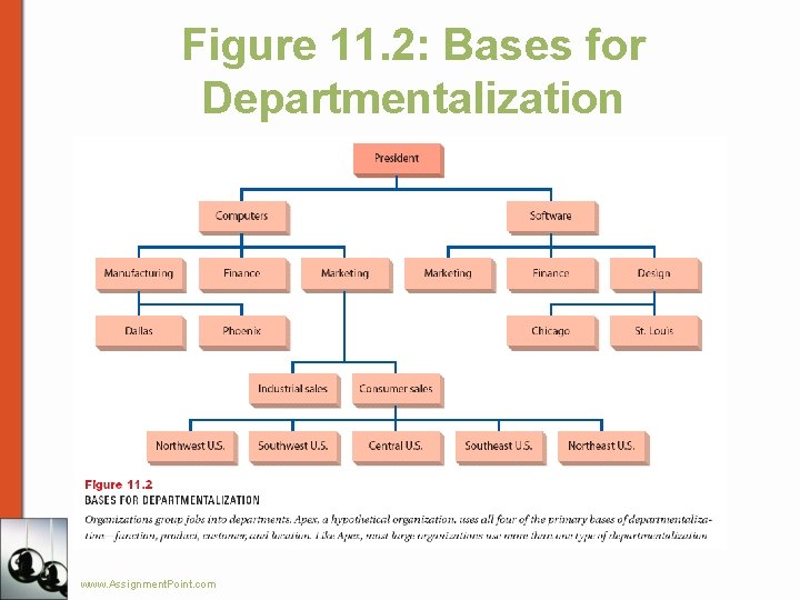 Figure 11. 2: Bases for Departmentalization www. Assignment. Point. com 