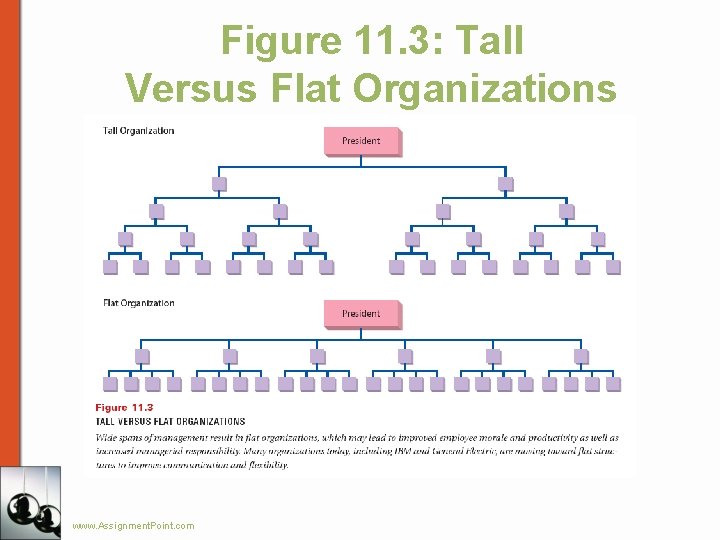 Figure 11. 3: Tall Versus Flat Organizations www. Assignment. Point. com 
