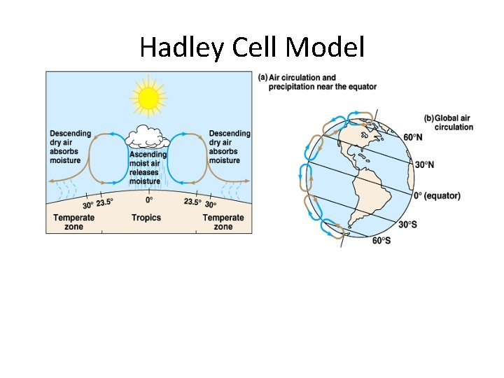 Hadley Cell Model 
