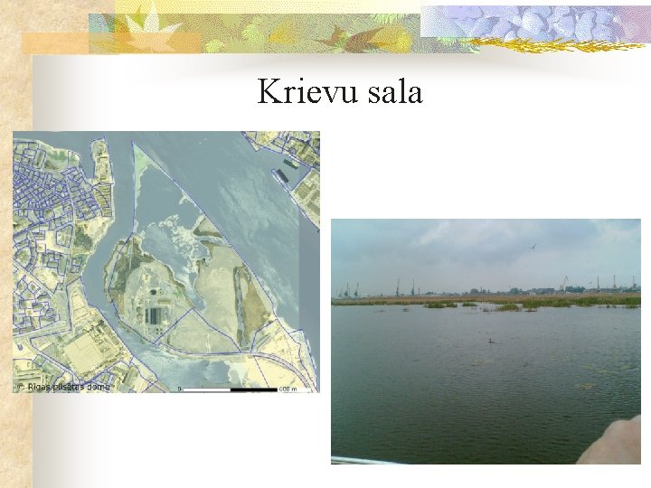 Krievu sala 