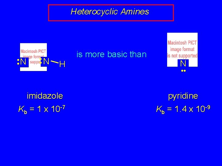 Heterocyclic Amines • • N H imidazole Kb = 1 x 10 -7 is