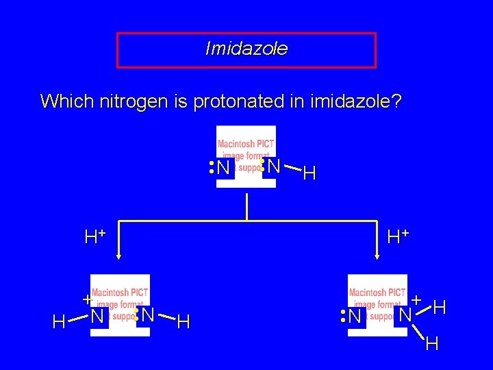 Imidazole Which nitrogen is protonated in imidazole? • • N H H+ + H