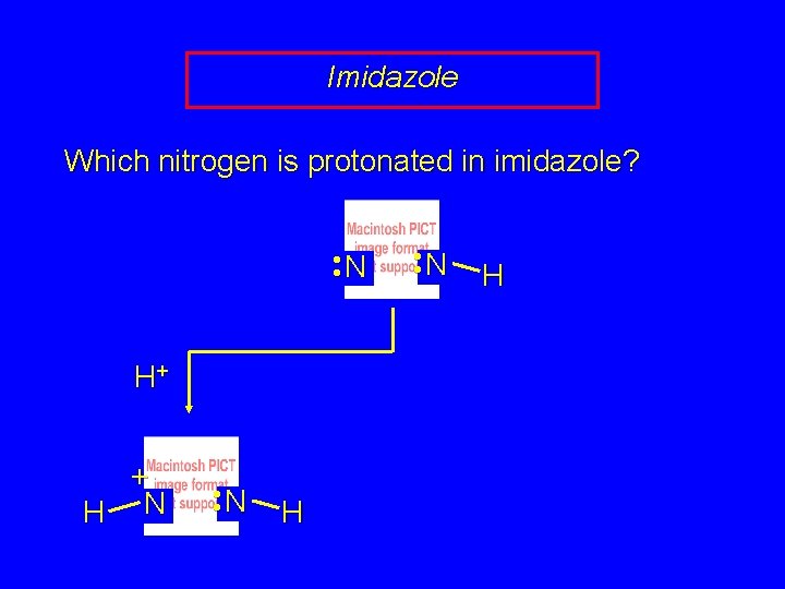 Imidazole Which nitrogen is protonated in imidazole? • • N H+ + H N