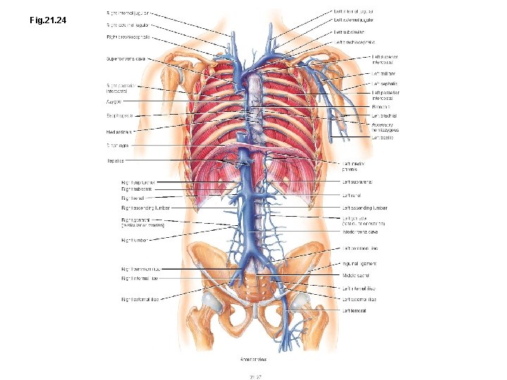 Fig. 21. 24 