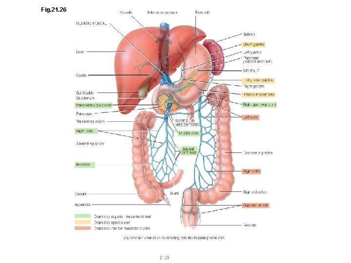 Fig. 21. 26 