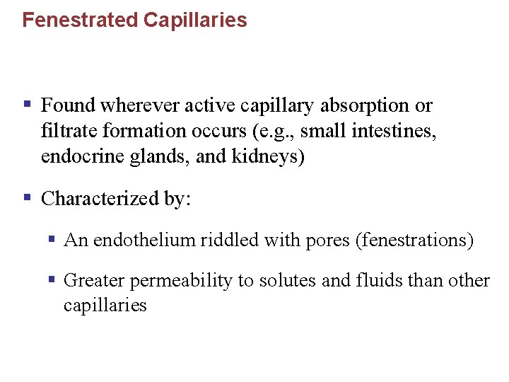 Fenestrated Capillaries § Found wherever active capillary absorption or filtrate formation occurs (e. g.