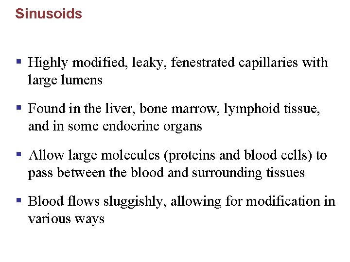 Sinusoids § Highly modified, leaky, fenestrated capillaries with large lumens § Found in the