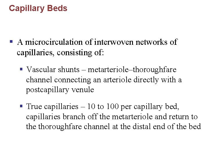 Capillary Beds § A microcirculation of interwoven networks of capillaries, consisting of: § Vascular