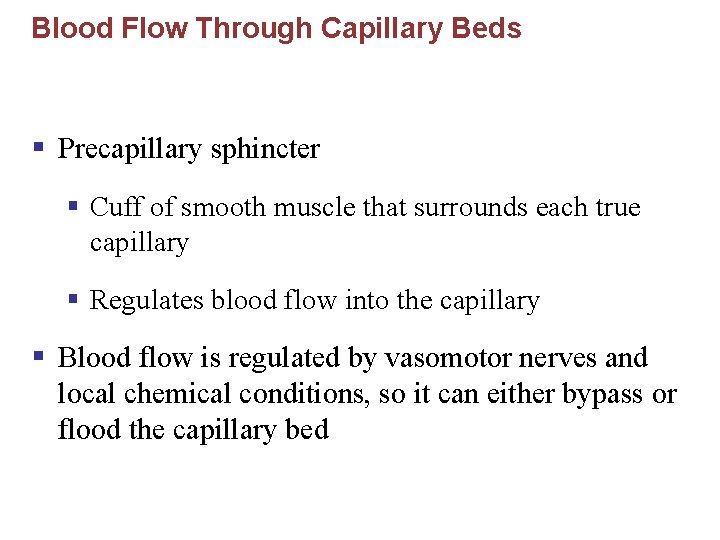 Blood Flow Through Capillary Beds § Precapillary sphincter § Cuff of smooth muscle that