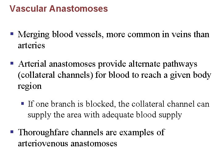 Vascular Anastomoses § Merging blood vessels, more common in veins than arteries § Arterial