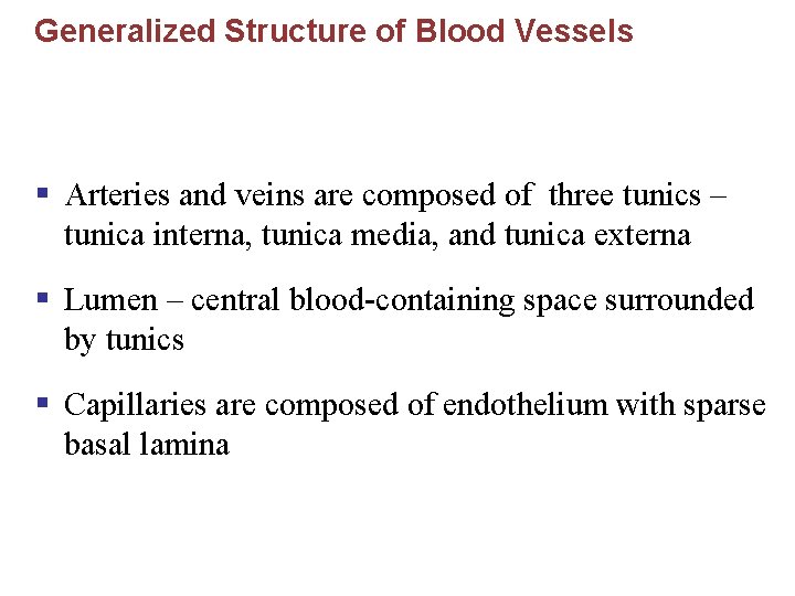 Generalized Structure of Blood Vessels § Arteries and veins are composed of three tunics