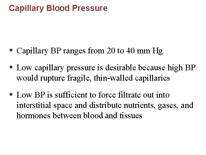 Capillary Blood Pressure § Capillary BP ranges from 20 to 40 mm Hg §