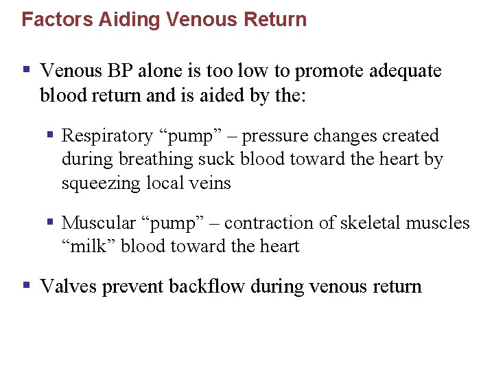 Factors Aiding Venous Return § Venous BP alone is too low to promote adequate