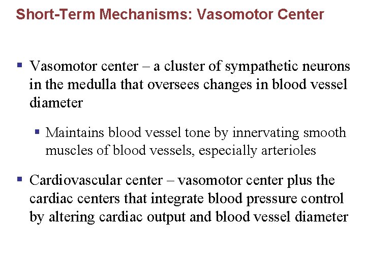 Short-Term Mechanisms: Vasomotor Center § Vasomotor center – a cluster of sympathetic neurons in