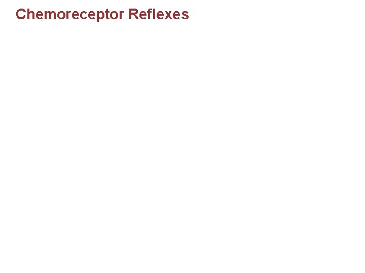 Chemoreceptor Reflexes Figure 21– 15 