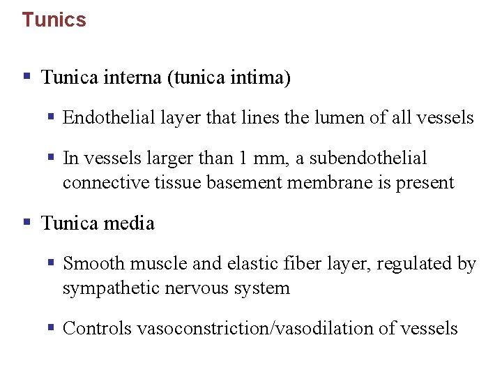 Tunics § Tunica interna (tunica intima) § Endothelial layer that lines the lumen of