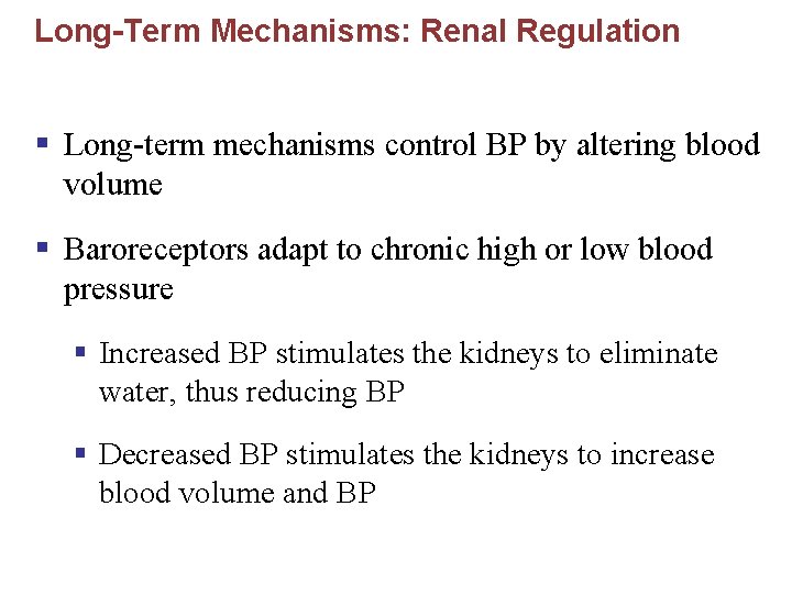 Long-Term Mechanisms: Renal Regulation § Long-term mechanisms control BP by altering blood volume §